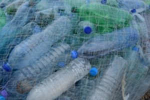 Műanyagevő hernyók segíthetnek a környezetszennyezés csökkentésében